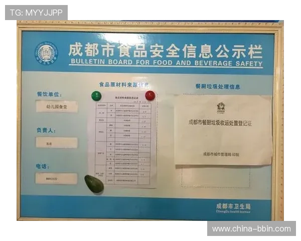 苹果设备安装bbin客户端的详细步骤，确保每个环节都安全可靠